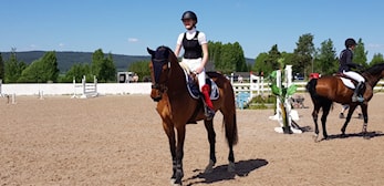 Stevnerapport fra sprangbanen!